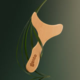 Body Contour Tool