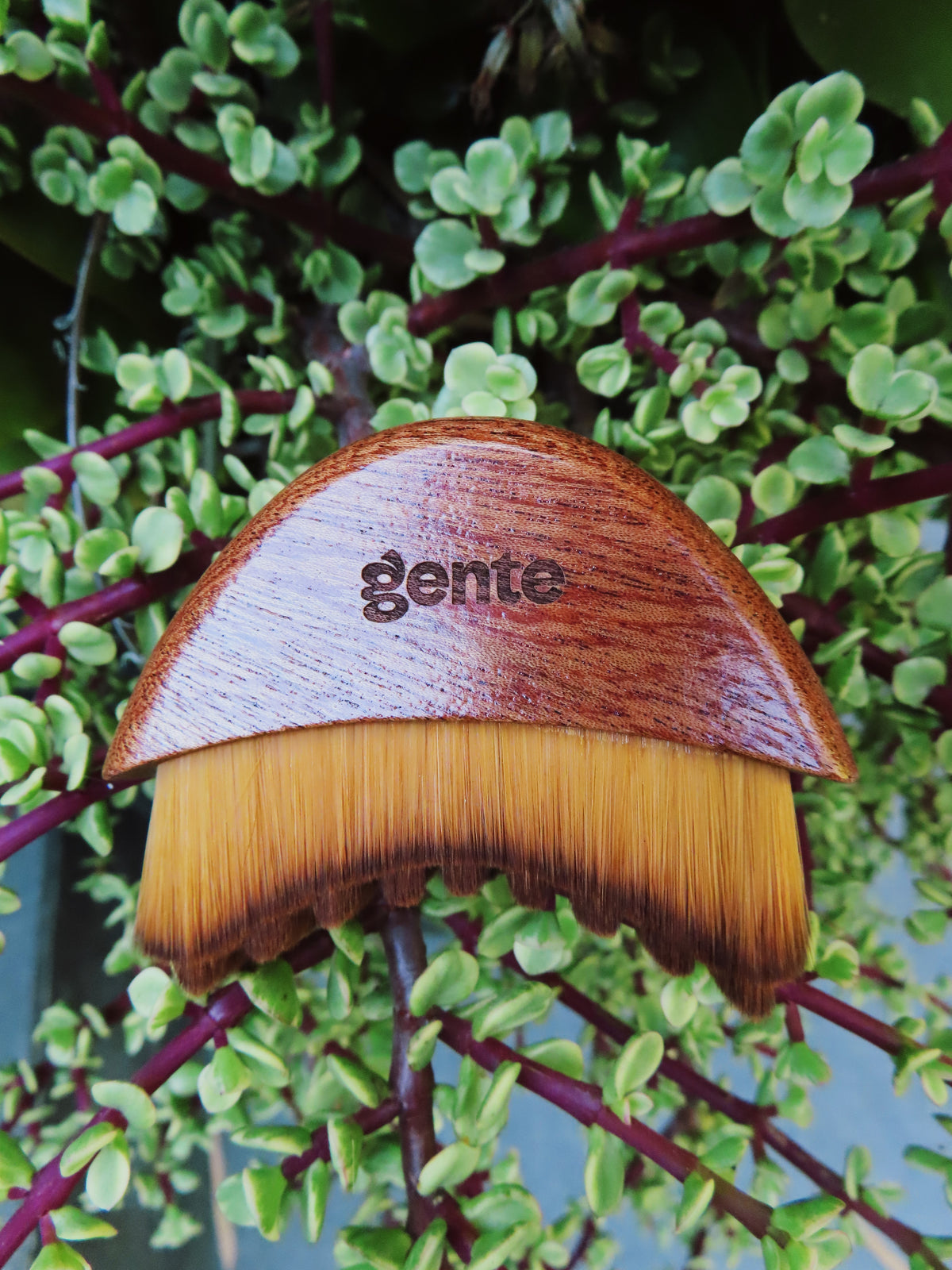 TTS | Gente Beauty | Lymphatic Face Brush for Daily Facial De-Puffing